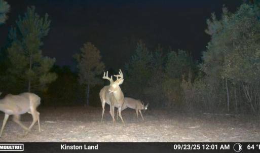 Photo #38 of Off Institute Road, Kinston, NC 35.0 acres