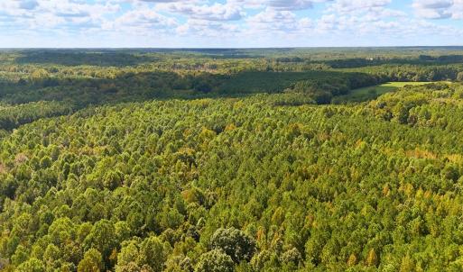 Photo #10 of Off of Bissette Rd, Middlesex, NC 24.5 acres