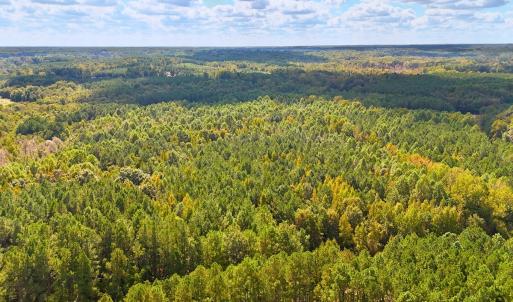 Photo #14 of Off of Bissette Rd, Middlesex, NC 24.5 acres