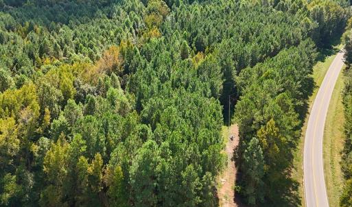Photo #18 of Off of Bissette Rd, Middlesex, NC 24.5 acres