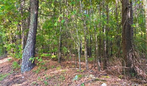 Photo #28 of Off of Bissette Rd, Middlesex, NC 24.5 acres