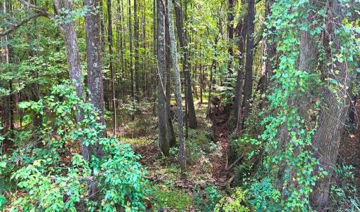 Photo #29 of Off of Bissette Rd, Middlesex, NC 24.5 acres