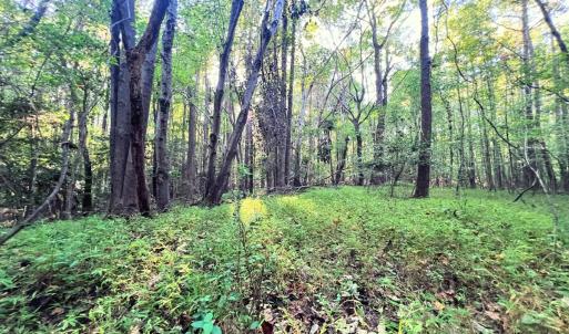 Photo #32 of Off of Bissette Rd, Middlesex, NC 24.5 acres