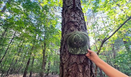 Photo #33 of Off of Bissette Rd, Middlesex, NC 24.5 acres
