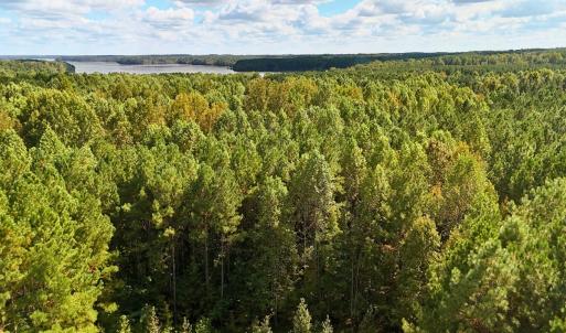 Photo #37 of Off of Bissette Rd, Middlesex, NC 24.5 acres