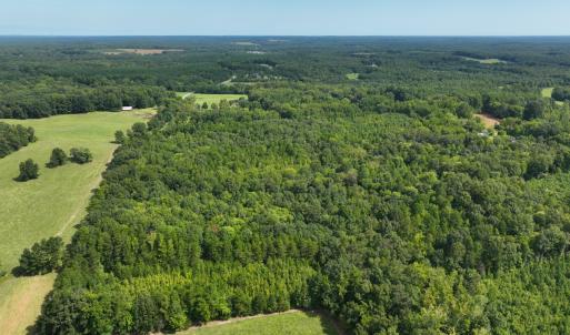 Photo #11 of Off Mann Oakley Road, Rougemont, NC 11.2 acres