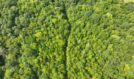 Photo #16 of Off Mann Oakley Road, Rougemont, NC 11.2 acres