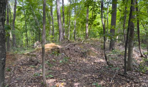 Photo #34 of Off Mann Oakley Road, Rougemont, NC 11.2 acres