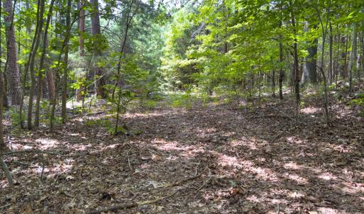 Photo #40 of Off Mann Oakley Road, Rougemont, NC 11.2 acres