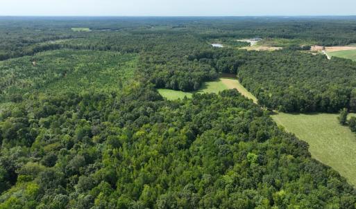 Photo #6 of Off Mann Oakley Road, Rougemont, NC 11.2 acres
