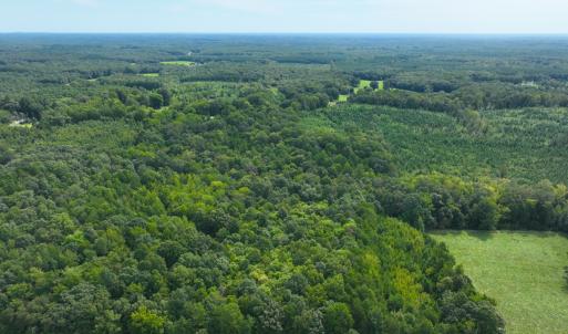 Photo #8 of Off Mann Oakley Road, Rougemont, NC 11.2 acres