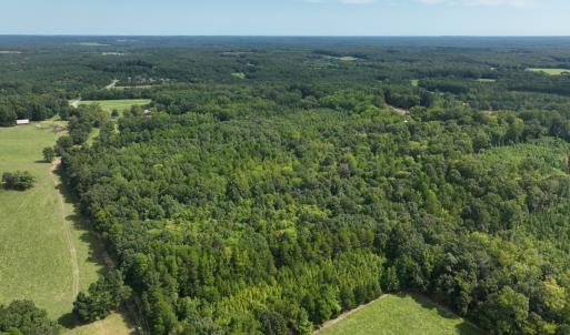 Photo #9 of Off Mann Oakley Road, Rougemont, NC 11.2 acres