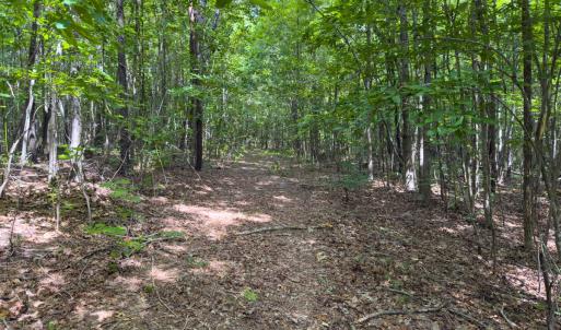 Photo #41 of Off Mann Oakley Road, Rougemont, NC 11.2 acres