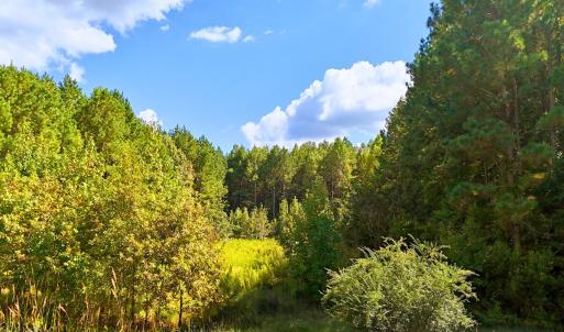 Photo #1 of 9631 Bissette Rd, Middlesex, NC 1.0 acres