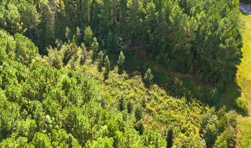 Photo #11 of 9631 Bissette Rd, Middlesex, NC 1.0 acres