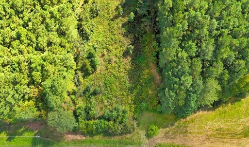 Photo #13 of 9631 Bissette Rd, Middlesex, NC 1.0 acres