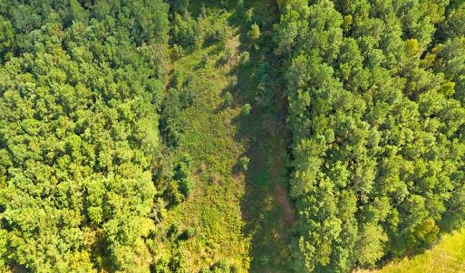 Photo #3 of 9631 Bissette Rd, Middlesex, NC 1.0 acres