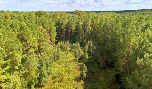 Photo #4 of 9631 Bissette Rd, Middlesex, NC 1.0 acres