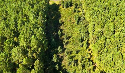 Photo #8 of 9631 Bissette Rd, Middlesex, NC 1.0 acres