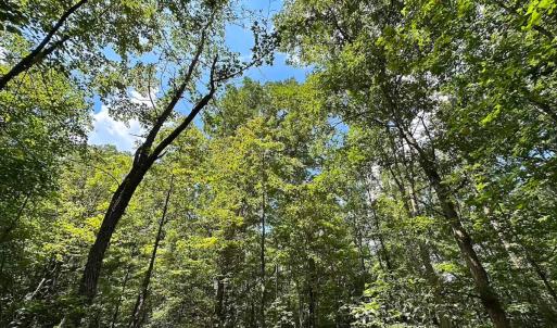 Photo #28 of 9701 Old Stage Rd, Prince George, VA 4.5 acres