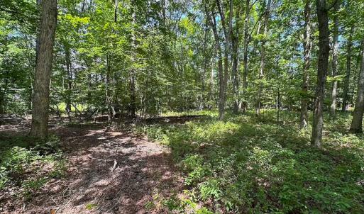 Photo #29 of 9701 Old Stage Rd, Prince George, VA 4.5 acres