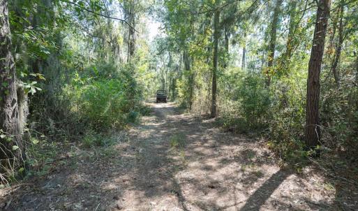 Photo #49 of 100 Hog Island, New Bern, NC 950.0 acres