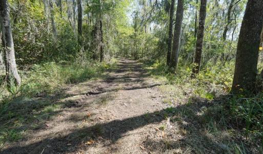 Photo #50 of 100 Hog Island, New Bern, NC 950.0 acres