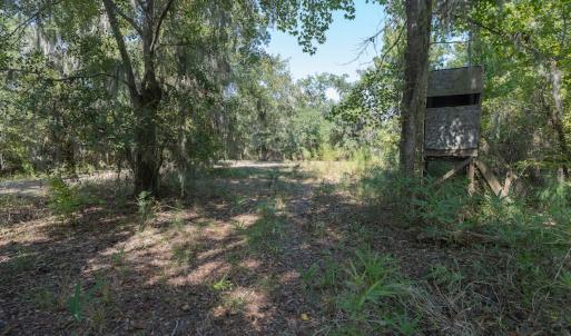 Photo #51 of 100 Hog Island, New Bern, NC 950.0 acres
