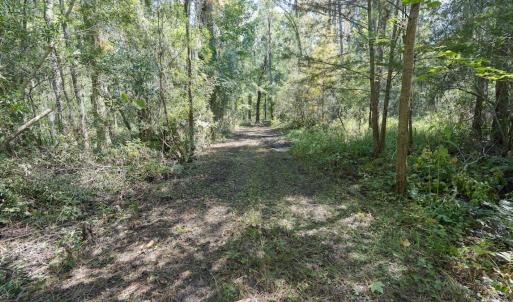 Photo #52 of 100 Hog Island, New Bern, NC 950.0 acres