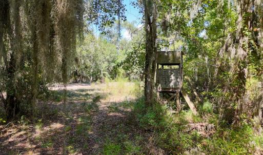 Photo #53 of 100 Hog Island, New Bern, NC 950.0 acres