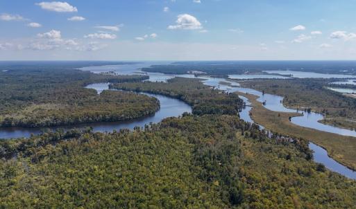 Photo #58 of 100 Hog Island, New Bern, NC 950.0 acres