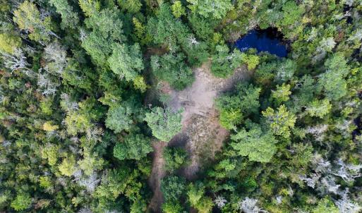 Photo #59 of 100 Hog Island, New Bern, NC 950.0 acres