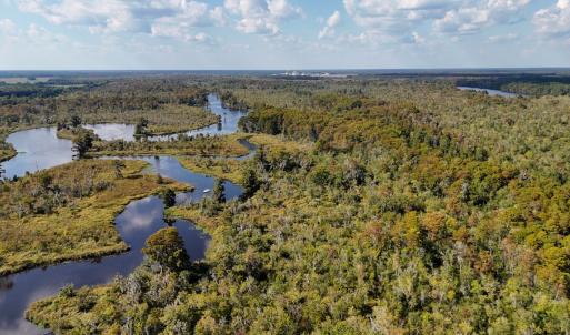 Photo #62 of 100 Hog Island, New Bern, NC 950.0 acres