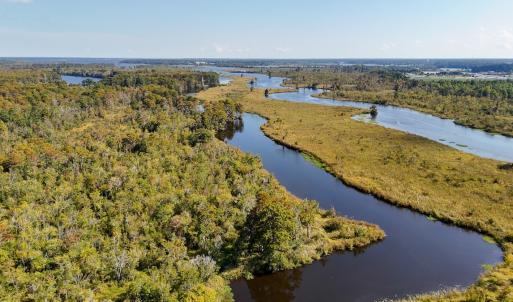Photo #63 of 100 Hog Island, New Bern, NC 950.0 acres