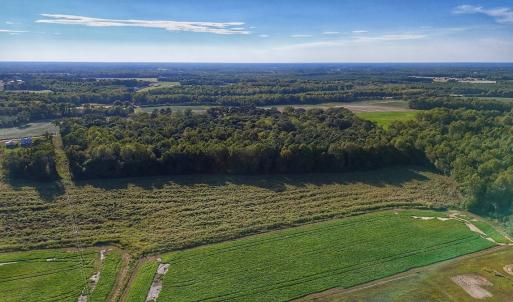Photo #10 of off Owens Farm Road, Fremont, NC 43.5 acres