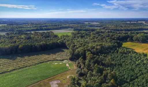 Photo #11 of off Owens Farm Road, Fremont, NC 43.5 acres