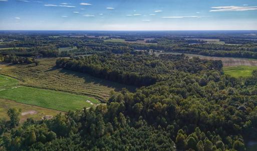 Photo #13 of off Owens Farm Road, Fremont, NC 43.5 acres