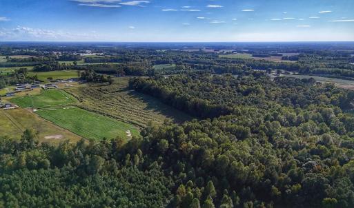 Photo #14 of off Owens Farm Road, Fremont, NC 43.5 acres