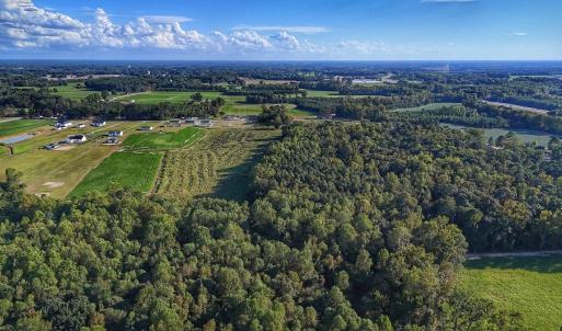 Photo #18 of off Owens Farm Road, Fremont, NC 43.5 acres