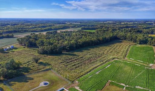 Photo #5 of off Owens Farm Road, Fremont, NC 43.5 acres