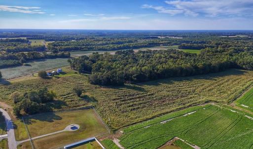 Photo #6 of off Owens Farm Road, Fremont, NC 43.5 acres