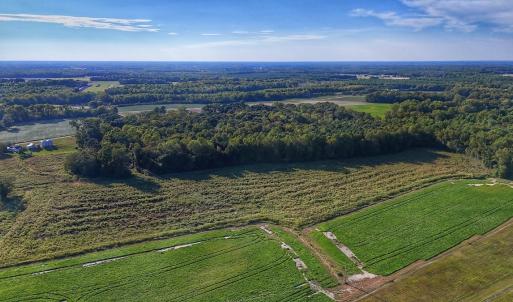 Photo #9 of off Owens Farm Road, Fremont, NC 43.5 acres