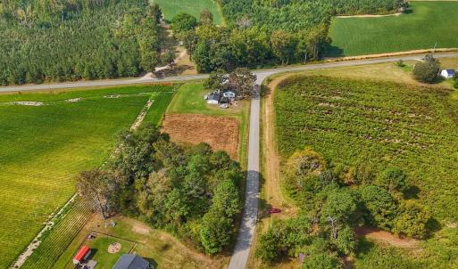 Photo #33 of off Owens Farm Road, Fremont, NC 43.5 acres