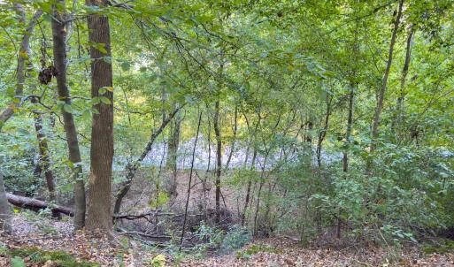 Photo #10 of Off Danville Drive, Fayetteville, NC 145.3 acres