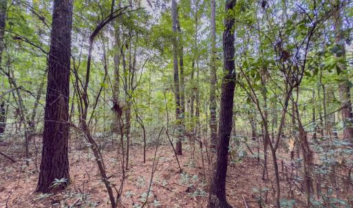 Photo #11 of Off Danville Drive, Fayetteville, NC 145.3 acres
