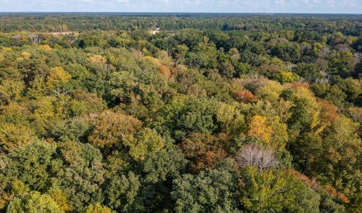 Photo #12 of Off Danville Drive, Fayetteville, NC 145.3 acres