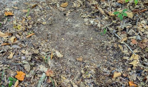 Photo #13 of Off Danville Drive, Fayetteville, NC 145.3 acres