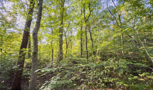 Photo #14 of Off Danville Drive, Fayetteville, NC 145.3 acres
