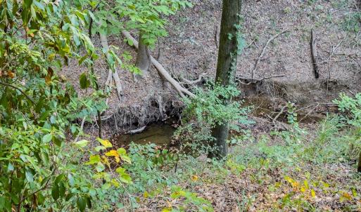 Photo #15 of Off Danville Drive, Fayetteville, NC 145.3 acres