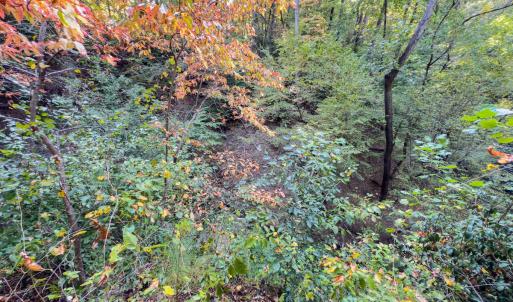 Photo #16 of Off Danville Drive, Fayetteville, NC 145.3 acres